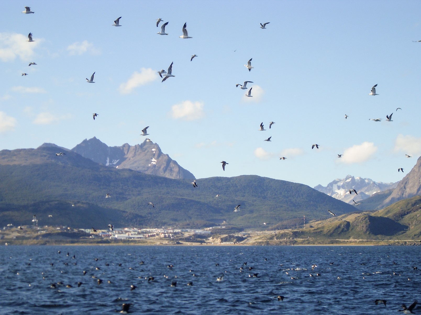 20160218_30_BeagleKanal