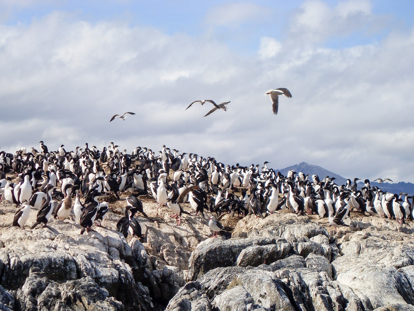 20160218_8_BeagleKanal