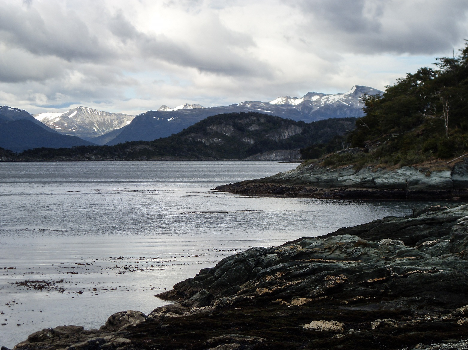 20160219_3_NationalparkTierraDelFuego