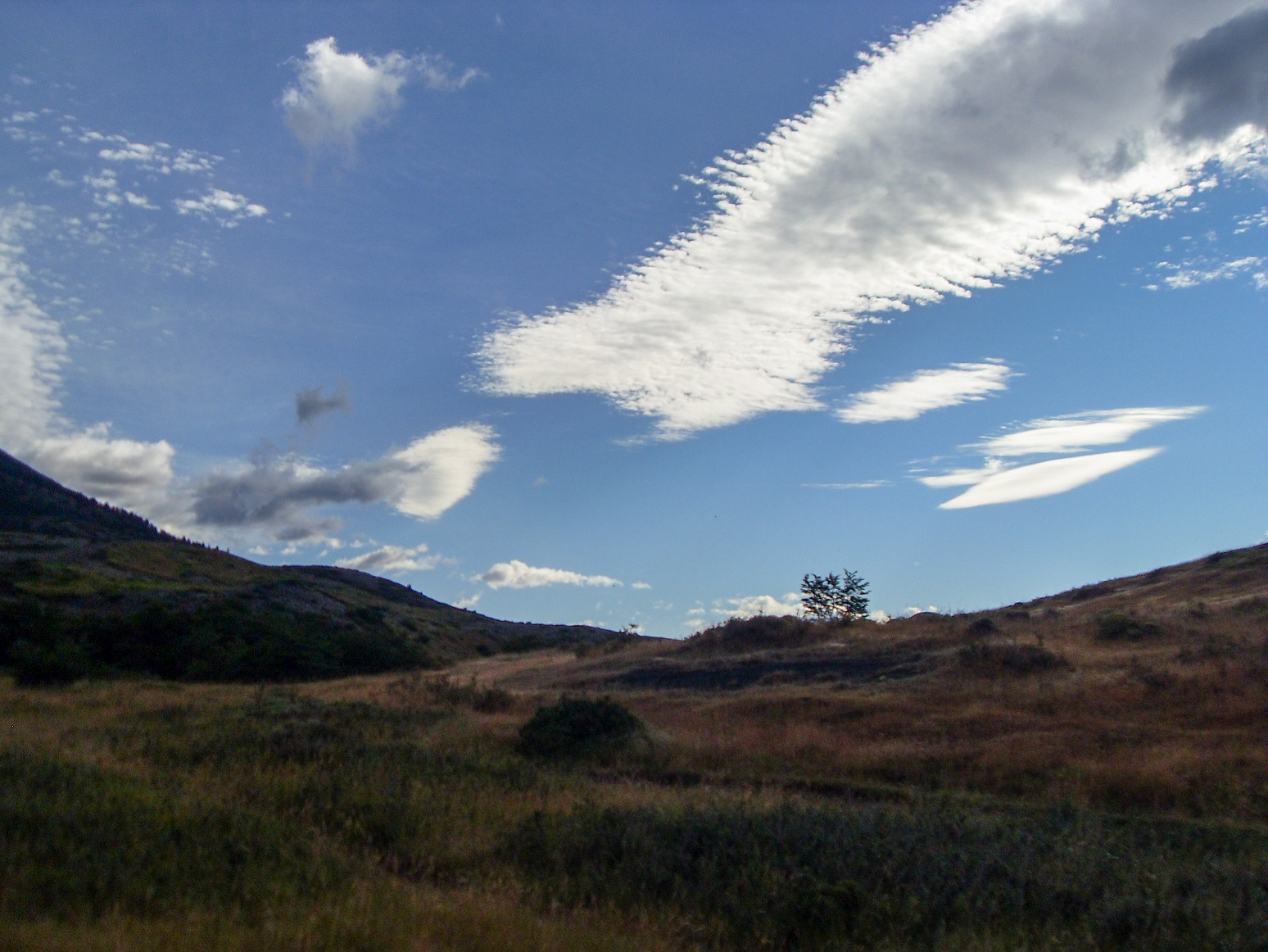 20160214_3_NationalparkTorresDelPaine