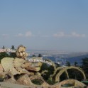 DSC06567