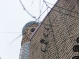 DSC03228.JPG