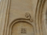 DSC03234.JPG