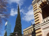 DSC03281.JPG