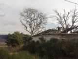 DSC03252.JPG