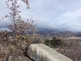 DSC03255.JPG