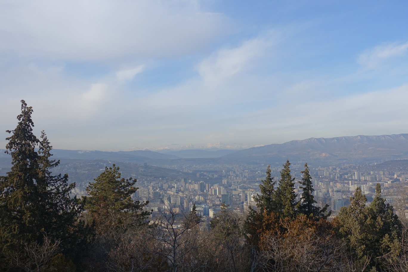 DSC08247