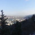DSC09392