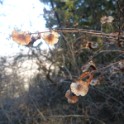DSC09403