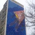 DSC09491