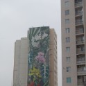 DSC09492