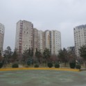 DSC09495