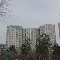 DSC09496