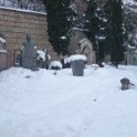 DSC00674