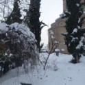 DSC00680