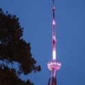 DSC00690