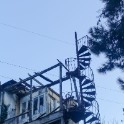 DSC00824