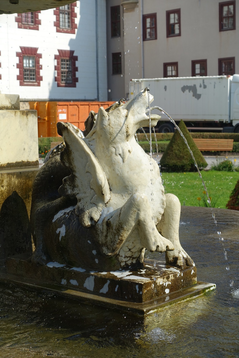 DSC05081