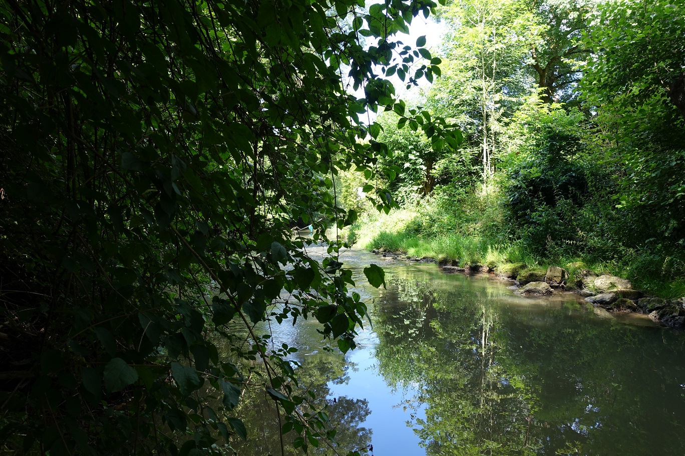 DSC05118