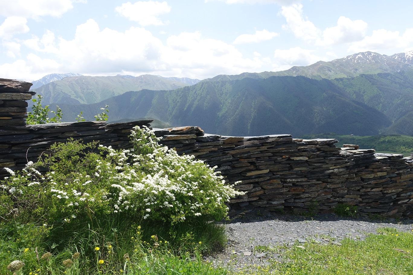 08_Omalo_11