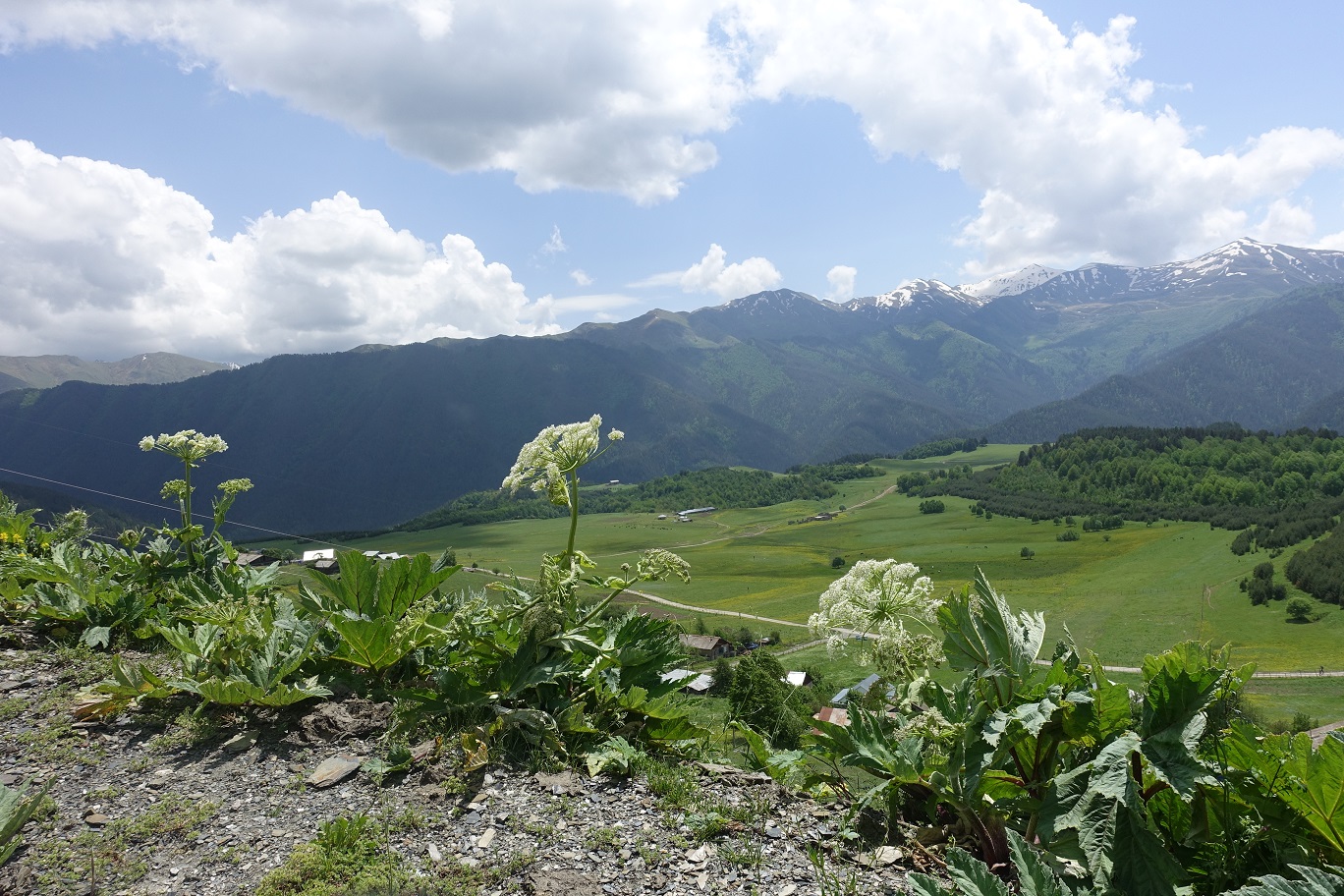 08_Omalo_14